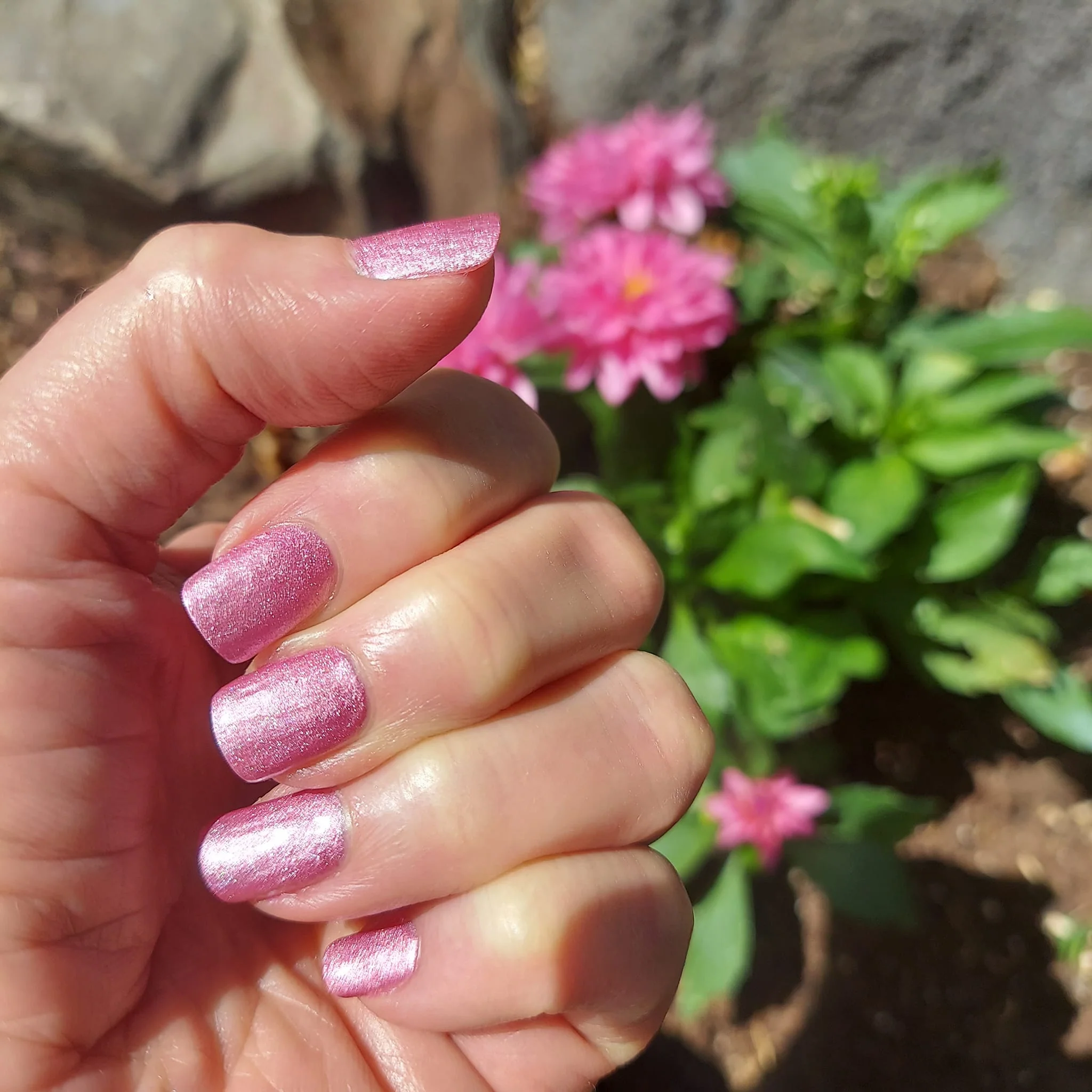 Blossom - Classic Nail Powder - Image 8