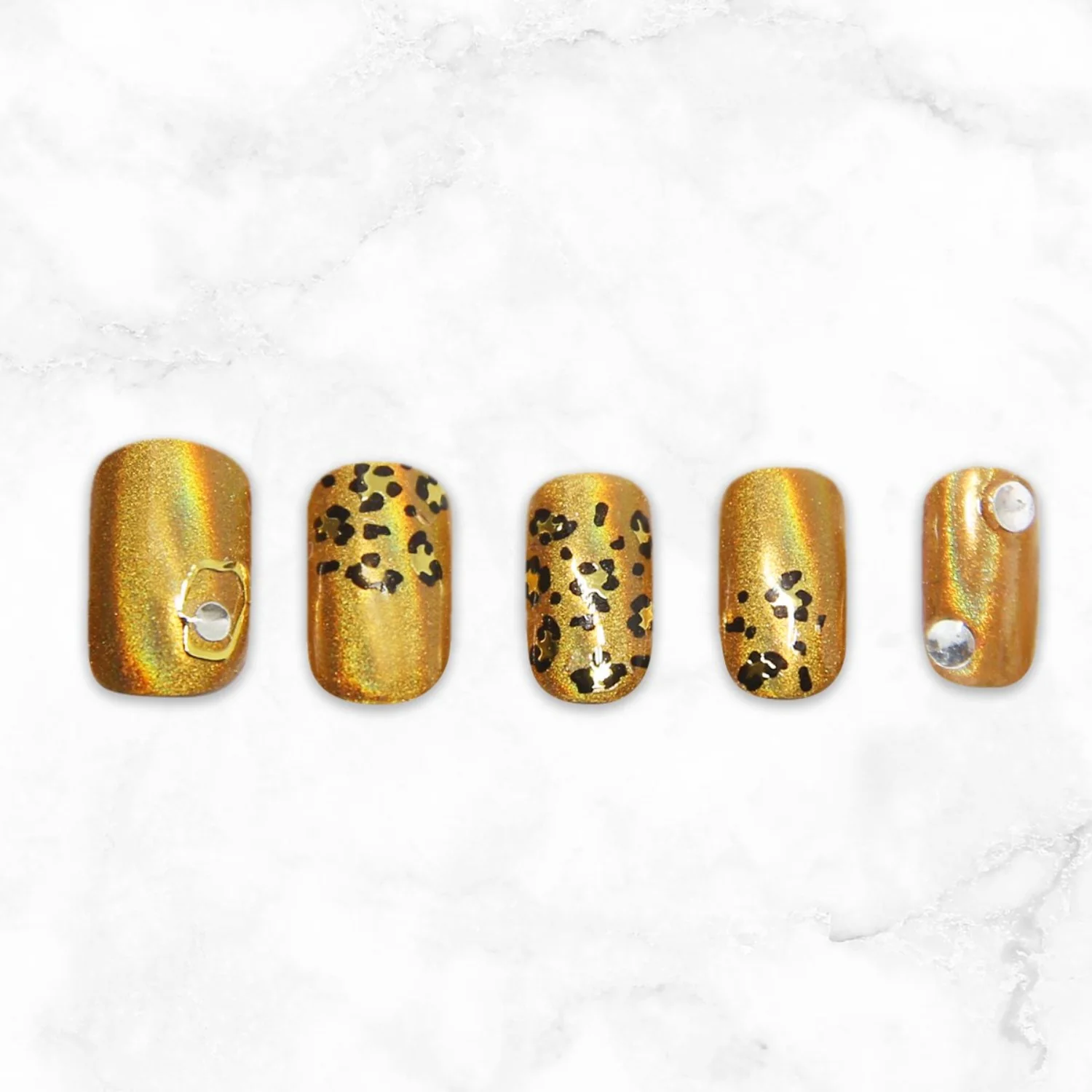 Leopard - Image 3